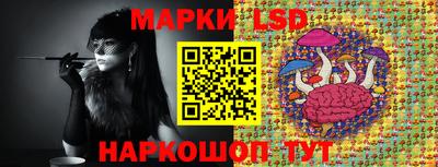 spice Краснодар