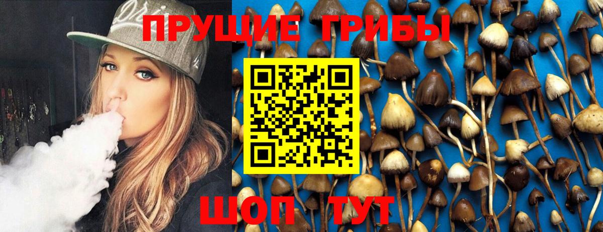 Галлюциногенные грибы GOLDEN TEACHER  Вход с VPN  Тула 