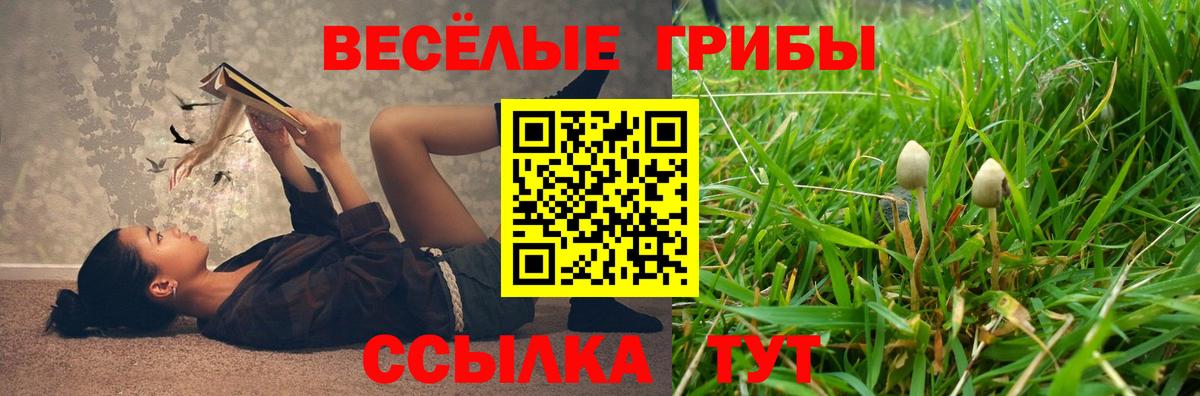 Галлюциногенные грибы Psilocybe Тула